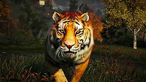 Far Cry 4 Broń