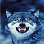 WolfsGhost