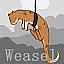 Weasel (Łasica)