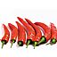 chili98PL