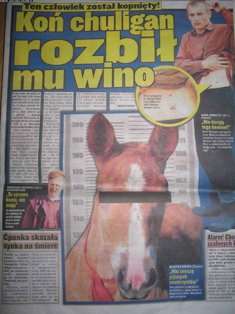 Obrazek