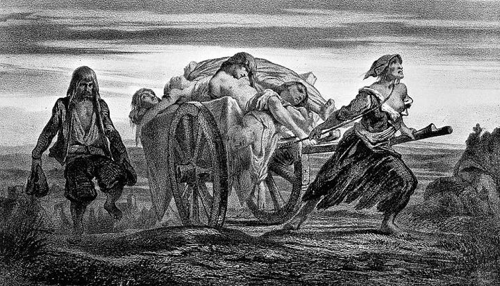 Czarna śmierć była jednym z przełomowych wydarzeń w historii średniowiecznego świata. - 2019-03-08