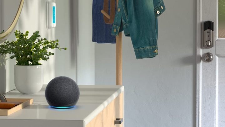 Echo i Alexa dominują na rynku smart asystentów. - Amazon Alexa kontra Siri od Apple - co smart asystentki potrafią w polskim smart mieszkaniu - dokument - 2022-08-04