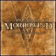 Recenzja The Elder Scrolls Online: Morrowind – dobre, ale nieco za drogie DLC - ilustracja #3