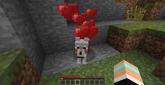 Pies - Minecraft: Pies, kot - jak oswoić? - Minecraft - poradnik do gry