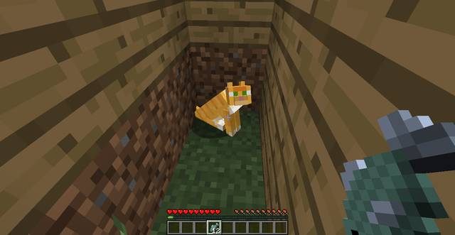 Kot - Minecraft: Pies, kot - jak oswoić? - Minecraft - poradnik do gry