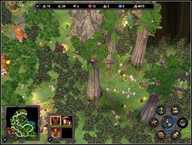 Gaj druidów należy okrążyć z lewej strony i wedrzeć się od góry. - Misja 3 - Kampania 2 - Heroes of Might & Magic V - poradnik do gry