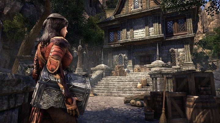 The Elder Scrolls Online: Morrowind zabierze nas na wyspę Vvardenfell. - The Elder Scrolls Online: Morrowind z pierwszymi fragmentami rozgrywki - wiadomość - 2017-02-23