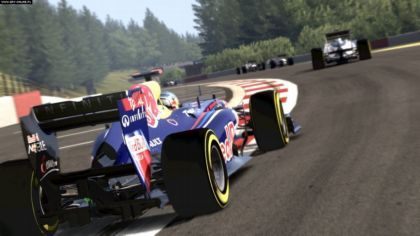 F1 2011 - brak polskiej wersji językowej - ilustracja #1