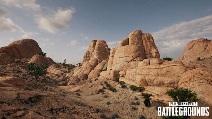 Do typowego obrazu pustyni brakuje krążących nad głową sępów. - Playerunknown's Battlegrounds – pustynna mapa okiem głównego twórcy - wiadomość - 2017-11-10