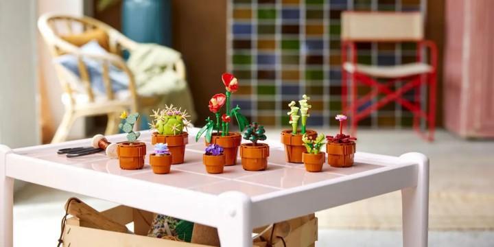 Źródło: LEGO; materiały promocyjne - Małe roślinki od LEGO to przepiękny zestaw klocków dla osób, które potrafią ukatrupić każdego kwiatka - wiadomość - 2024-04-12