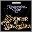 Neverwinter Nights: Shadows of Undrentide - v.1.69 ENG FULL