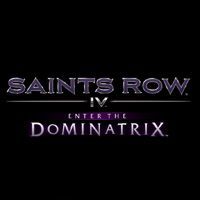 Saints Row IV: Enter the Dominatrix Game Box