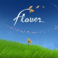 Flower Game Box