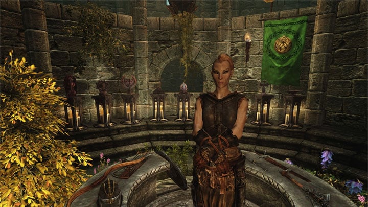 The Elder Scrolls V: Skyrim Special Edition mod ShowRaceMenu Alternative v.3.0.0