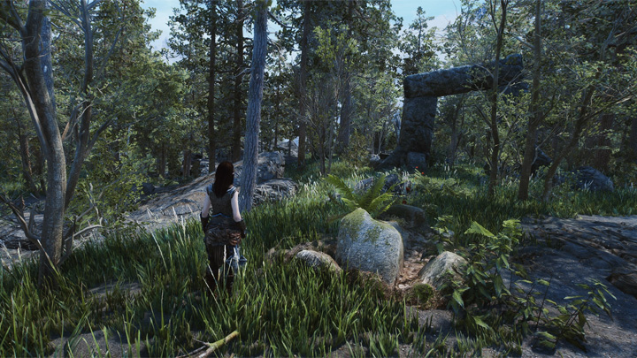 The Elder Scrolls V: Skyrim Special Edition mod Nature of the Wild Lands - forest improvement mod v.1.0