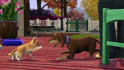 The Sims 3: Zwierzaki - nowy dodatek do gry zapowiedziany - ilustracja #1