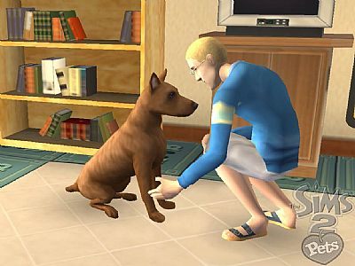 The Sims 2 Pets już niebawem na Wii - ilustracja #3
