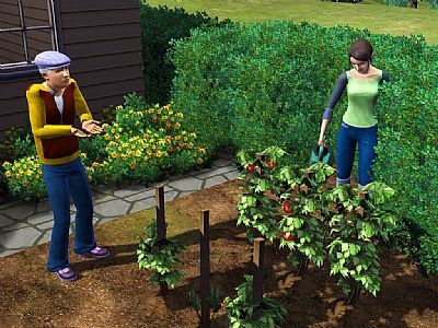 The Sims 3 już oficjalnie - strona, opis i screeny - ilustracja #2