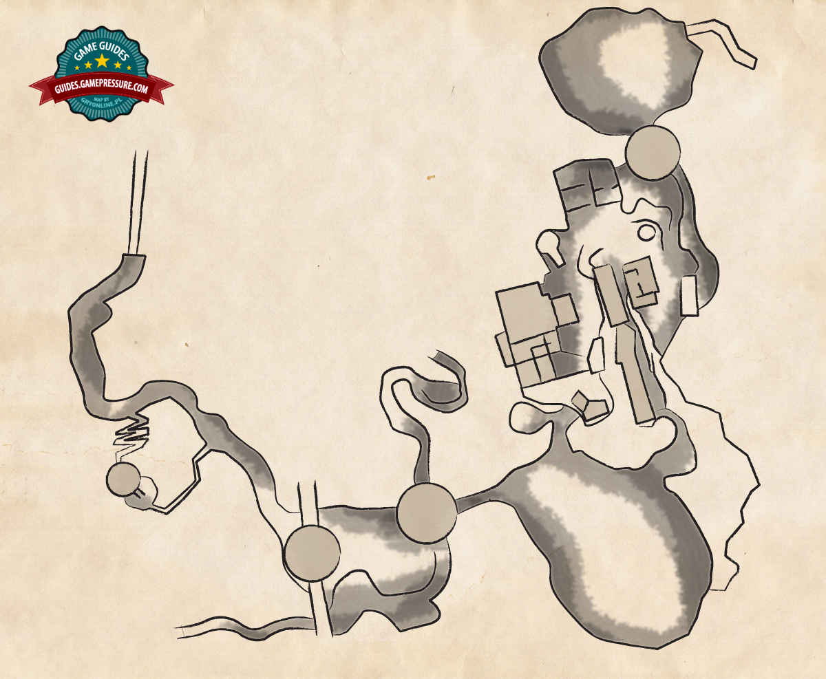 Shaded Woods Walkthrough Full walkthrough Dark Souls II Game