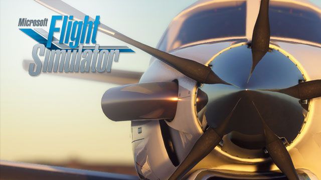 Microsoft Flight Simulator - Simulation