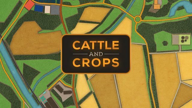 Cattle and Crops