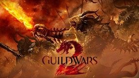 Guild Wars 2 - przed premier�