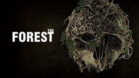 The Forest (PC)