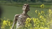 Już za 3 dni obejrzymy długo wyczekiwany sequel kultowego horroru o zombie. Premiera 28 lat później tuż za rogiem, a opinii krytyków nadal brak