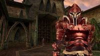 Chutliwa Argoniańska Pokojówka powstała, bo Todd Howard jej nie wychwycił. Twórca Morrowinda: „napisałem to chyba po happy hour”