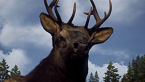Way of the Hunter zwiastun Animals of the Pacific Northwest