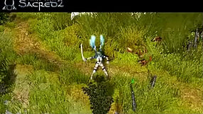 Sacred 2: Fallen Angel cechy gry