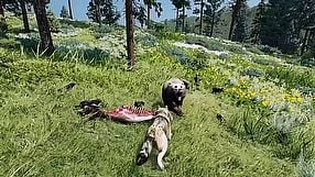 WolfQuest: Anniversary Edition - zwiastun rozgrywki