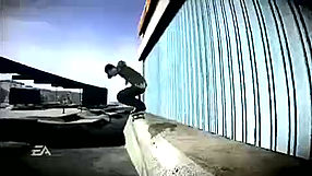 skate. (2007) #1