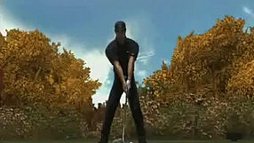 Tiger Woods PGA Tour 08 #2