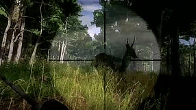 theHunter #2