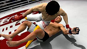 EA Sports MMA TGS 2010