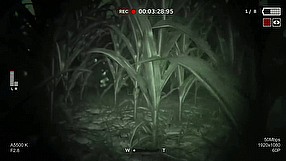 Outlast 2 rozgrywka - pościg przez pole kukurydzy