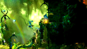 Trine 2: Complete Story Co-op