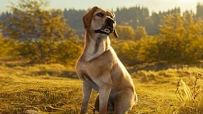 theHunter: Call of the Wild zwiastun DLC Labrador Retriever