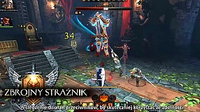 Neverwinter zbrojny strażnik (PL)