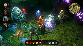 Divinity: Original Sin - Enhanced Edition walka