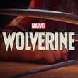 game Marvel's Wolverine