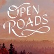game Open Roads