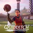 game Harry Potter: Quidditch Champions
