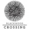 game Blackwood Crossing