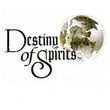 game Destiny of Spirits