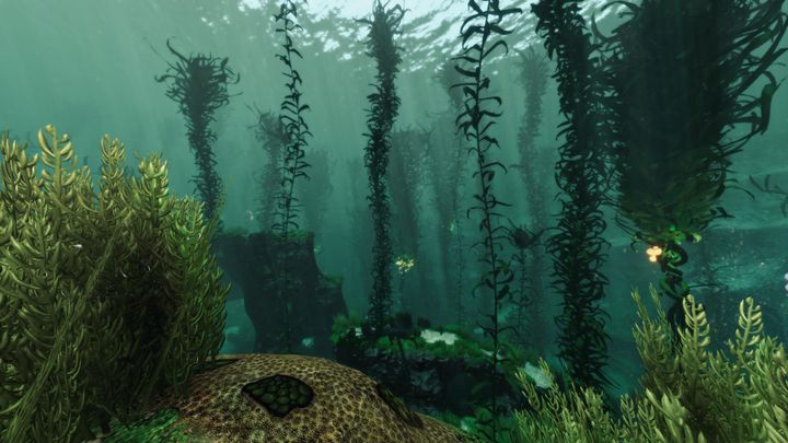 Subnautica to naprawdę ładna gra. - Gry, w których dla jedzenia byłeś gotów zrobić wszystko - dokument - 2021-09-17