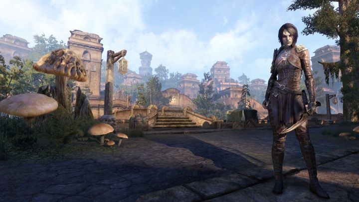 Za kilka dni The Elder Scrolls Online przeniesie nas 15 lat wstecz za sprawą dodatku Morrowind. Decydujecie się na taką podróż w czasie? Czy wybieracie inną premierę czerwca? - 2017-06-02