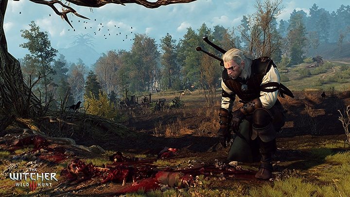 Nawet Geralt szuka śladów „kolejnej gry fabularnej kategorii AAA”. - 2018-06-08